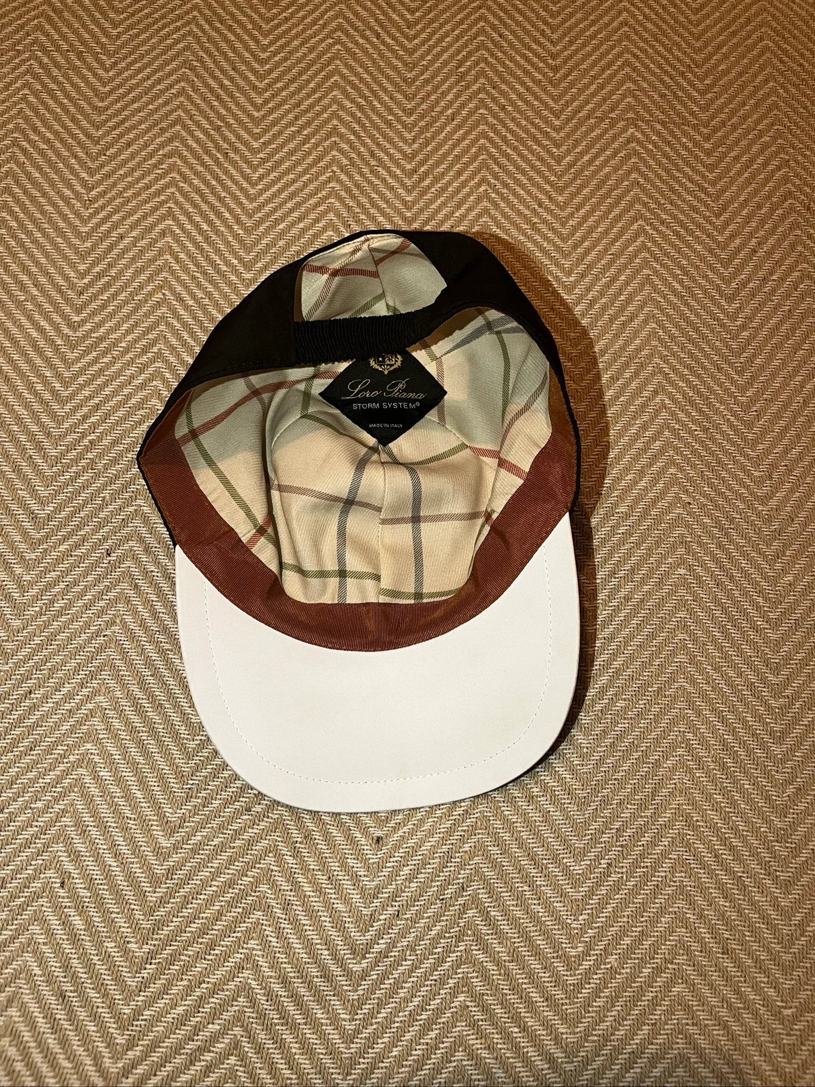 LP pet – photo 2